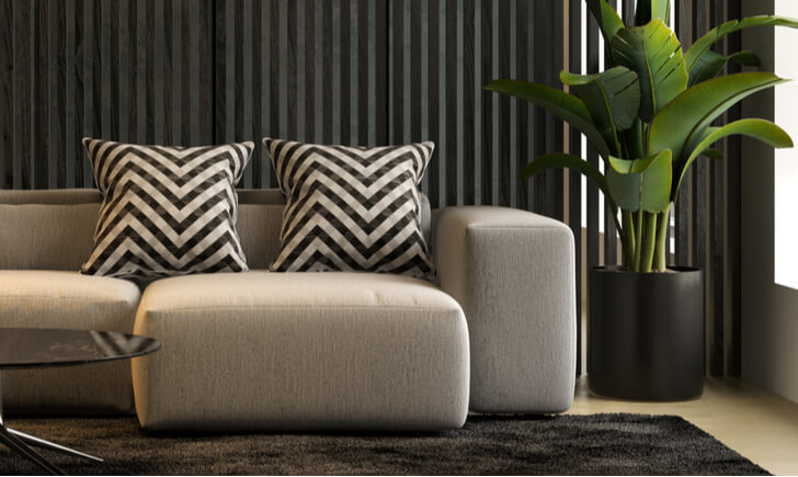 モダンなインテリアにおすすめのおしゃれ観葉植物15選 飾り方やガーデングッズもチェック Biotonique ビオトニーク