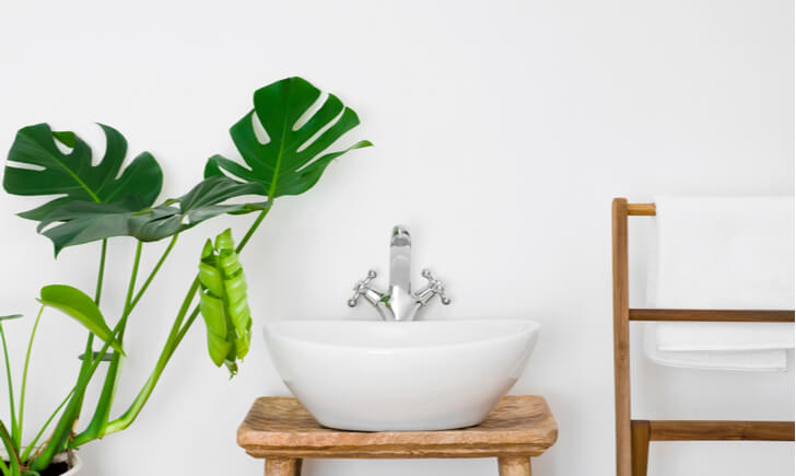 洗面所をおしゃれ空間に 選び方のポイントとおすすめの観葉植物5選 Biotonique ビオトニーク