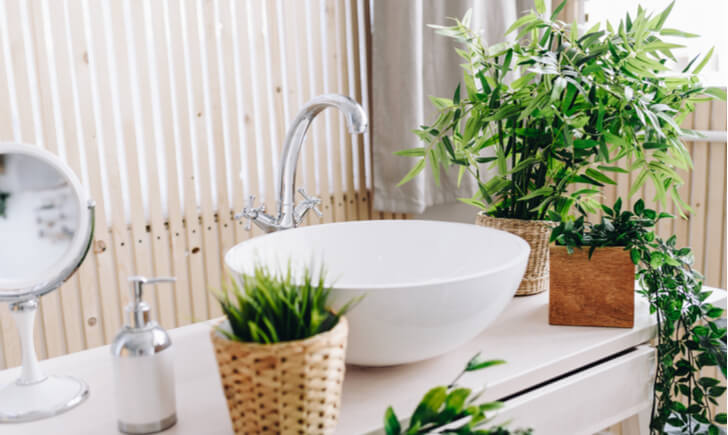 洗面所におすすめの観葉植物5選 グリーンを置いておしゃれ空間に Biotonique ビオトニーク