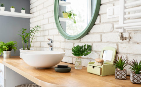 パキラの風水効果 おすすめの置き場所と方角を知る Biotonique ビオトニーク