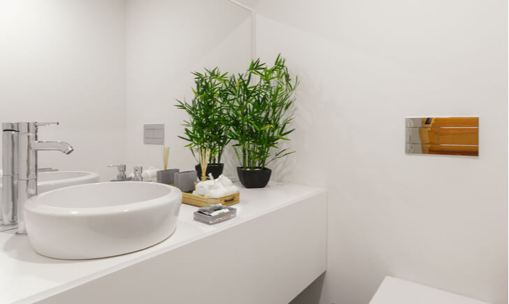 風水効果別 トイレに置きたい観葉植物おすすめ15選 Biotonique ビオトニーク