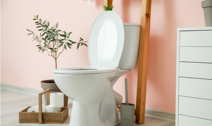 トイレに置く観葉植物おすすめ15選 風水効果別にみる運気アップのポイント Biotonique ビオトニーク