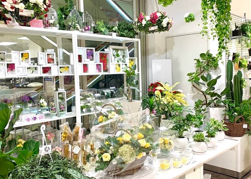 Botanical Lounge そごう横浜店 Biotonique ビオトニーク