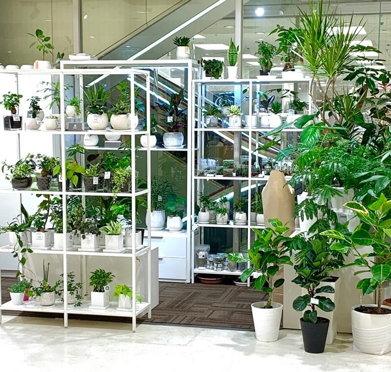 Botanical Lounge そごう横浜店 Biotonique ビオトニーク