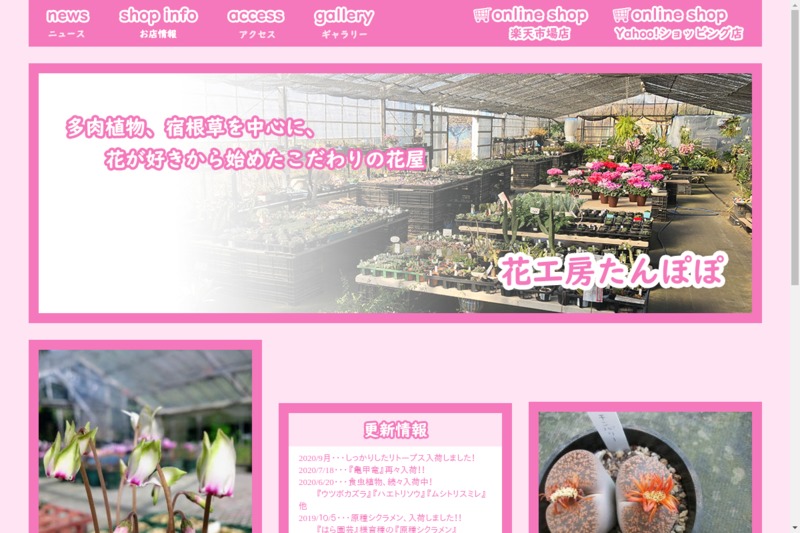 花工房 たんぽぽ Biotonique ビオトニーク