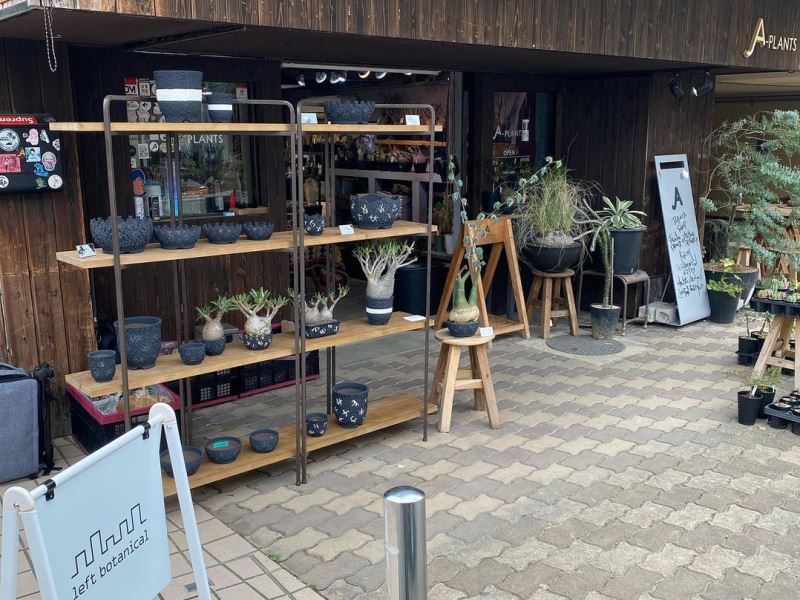 A Plants Aプランツ 観葉植物販売 Biotonique ビオトニーク