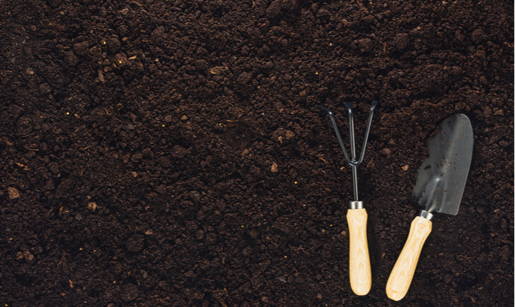 【上級者向け】植物に合わせた培養土を自作する方法